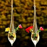 水ドロップ形状ガラス花瓶養液栽培する植物園花鍋