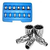 Neiko 12 Pcs 1/4 Dr. Penta-metric Socket Spline Set by Blue monkey shop