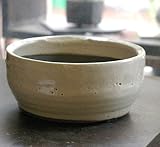 盆栽鉢　信楽焼鉢　白　直径１５ｃｍ　鉢底ネット付