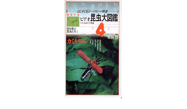 ライセンス販売 楽天市場 中古 ビデオ昆虫大図鑑 小さな生命のふしぎ 第1巻 カブトムシ かたちを変える昆虫たち Vhs Come To Store 特価品 Skybusinesscenter Com Pa