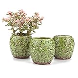 T4U 8.5CM 陶器ミ二植木鉢 田舎風 桜花模様の氷裂釉 多肉植物 サボテン鉢 フラワーポット プランター容器 緑 3個入り