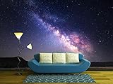 wall26 - 自着性ウォールペーパー Large Wall Muralシリーズ 100"x144" WMR-WP-X-C372-100x24x6