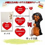 誕生日用　ギフトパッケージ　エイチツーオー　ガラス花瓶持ちドッグ