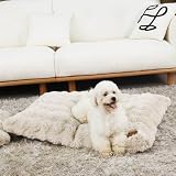 BingoPaw 犬用ベッド 中型犬 小型犬 洗える 冬 夏 丈夫 快適 耐久性 通気性 ベージュ ペットベッド クッション 噛んでも破れない 防水 通年 ペットマット 暖かい