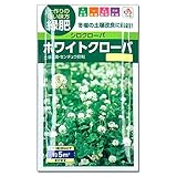 [タネ]ホワイトクローバーの種5平米分（20ml）入り 3袋セット