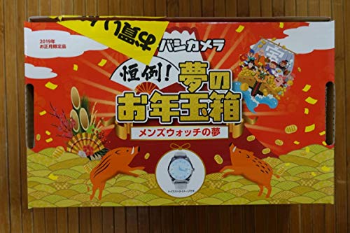 ヨドバシ 時計 ヨドバシカメラ メンズウォッチの夢 2019年 福袋 お年玉箱 抜き取りなし
