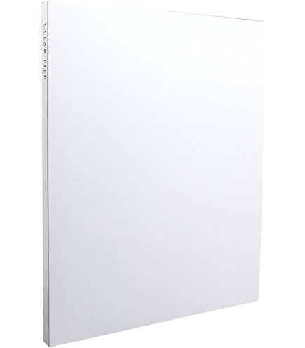 Amazon | SEKISEI アルバム ポケット クリヤーファイル A4-S 40