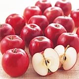 林檎(リンゴ)苗木 紅玉