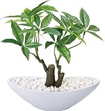 Romote ポピー 観葉植物の造花 パキラポット S