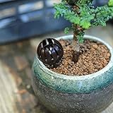 Kicode プラスチック爆薬 新盆栽ツール 肥料カバーバスケットボール ドームボックスケース ソフト工場バグ ケースブラック ポータブル