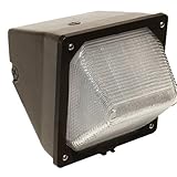 Morris 71435 30W 5000K LED Classic Small Wall Pack, 2507 lm, 120-277V, Bronze [並行輸入品]