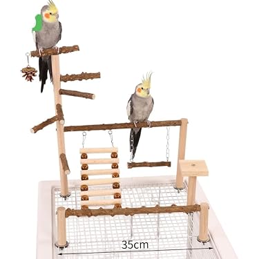 Amazon.co.jp 最新リリース: 鳥かごアクセサリ の新着ランキングです。