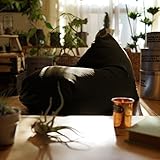 NYブルックリン風ビーズクッション Rg デニム調 [カーキ（撥水加工）] ソファ 座椅子 日本製