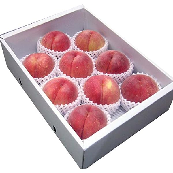 ワッサー桃4mama専用品 81CjzKk25CL._UF350,350_QL50_.jpg