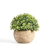 人工観葉植物フェイクグリーンインテリア光触媒ミニかわいい まあるい人工鉢植え