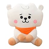 UOAO 防弾少年団ぬいぐるみ for BTS グッズ 手のりぬいぐるみ ぬいぐるみ for 防弾少年団 キーチェーン ミニぬいぐるみ 座り姿 かわいい 韓流グッズ kpop 芸能人グッズ (RJ,25CM)