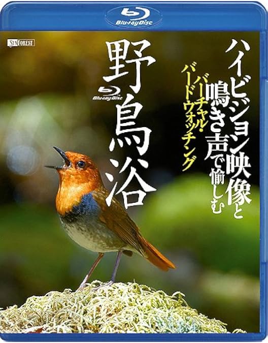 Amazon.co.jp: 新 野鳥図鑑 DVD-BOX 全4枚セット【NHKスクエア限定