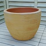 人気のベトナム鉢 植木鉢 ハリ (M34cm) テラコッタ 素焼き鉢 陶器鉢 園芸 ガーデニング おしゃれ これまでの洋風ガーデンとは一味違った空間を演出します