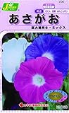 カネコ種苗 草花タネ706 あさがお 巨大輪咲き ミックス 10袋セット