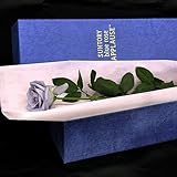 blue rose APPLAUSE BOX サントリー ブルーローズ アプローズ ボックス（1本） 日比谷花壇