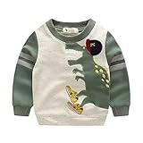Kids Boys 'dinosaurストリップ長袖TシャツCartoonスウェットシャツ US サイズ: 3L カラー: グリーン