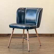 51P4LRbjXiL._AC_UL210_SR210,