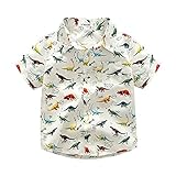 (プタス) Putarsティーンエイジャーの服の綿の夏の白い恐竜の花の半袖の西洋の通気性のシャツトップボーイの服 3歳 - 7歳