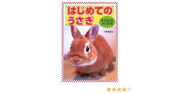 子どもにもよくわかるはじめてのうさぎ 大野 瑞絵 本 通販 Amazon