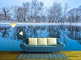 wall26 粘着式 Wall Muralシリーズ 壁紙 大型。 100"x144" WMR-WP-X-D361-100x24x6