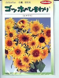 Amazon ゴッホのひまわり サカタのタネの ひまわり種です 花 Amazon ゴッホのひまわり サカタのタネの ひまわり種です 花