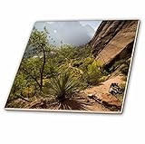 Danita Delimont – ユタ州 – Angels Landing Trail、ザイオン国立公園、ユタ州 – us45 dpb0014 – Douglas Peebles – タイル 6-I