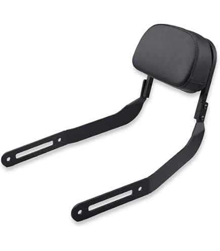 SP武川 バックレストキット+サイドバッグサポート SPECIAL PARTS TAKEGAWA / サイドバッグサポート(ブラック)