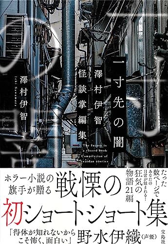 澤村伊智:一寸先の闇　澤村伊智怪談掌編集