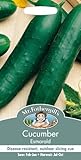 MFVE 英国ミスターフォザーギルズシード Cucumber Esmerald キューカンバ・エスメラルド