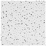USG Interiors r2310 2-feet by 4-feetレーダー天井タイル