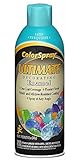 Champion 4106 Color Ultimate Decorating Spray Enamel, Satin Turquoise (Pack of 6) [並行輸入品]