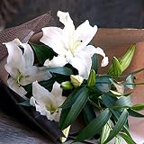 カサブランカ 15輪とグリーン 花束