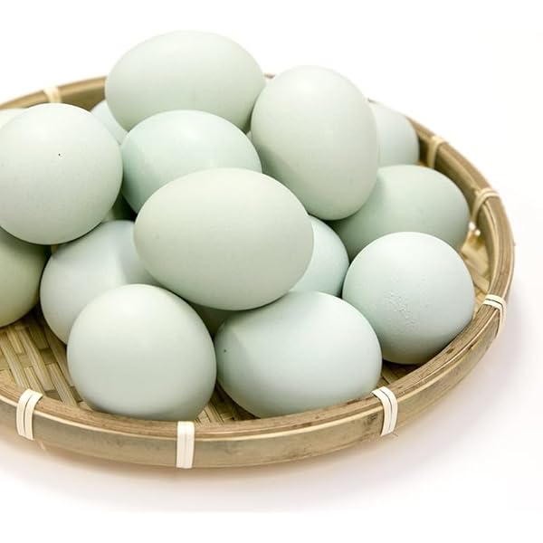 Amazon | 緑の一番星たまご18個(6個×3パック)青森県田子町産[生臭さ