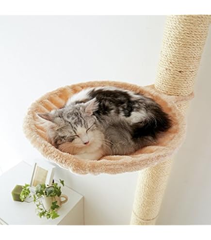 Amazon | おうちで木登りタワーボックス付き (突っ張り型) 猫 ねこ