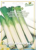 野菜の種 リーキ(ポロねぎ)・ジャイアント