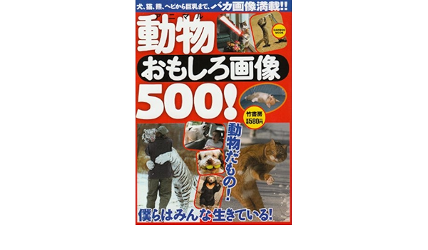 動物おもしろ画像500 Bamboo Mook 本 通販 Amazon