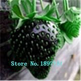 ビッグセール500枚イチゴ種子美しく、おいしいイチゴ+ !! フルーツの種子