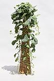 インテリアグリーン人工観葉植物・ミントパインスタンドタイプ（網籠）、光触媒製品
