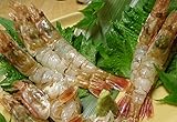 幻の海老【お刺身用】モサエビ《船内冷凍加工済》 800g前後(50尾前後)セット