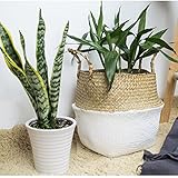 フラワーポット植物バスケットホームストレージバスケットを織る