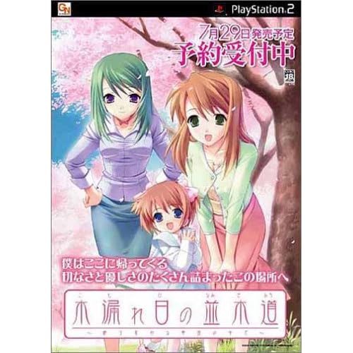 木漏れ日の並木道～移り変わる季節の中で～