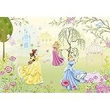 壁紙 輸入壁紙 紙 ドイツ製 ディズニープリンセス Princess Garden 1-417 壁紙単品 Z3K