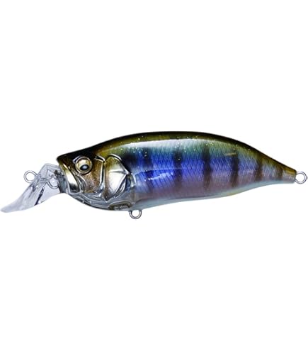 Amazon.co.jp: メガバス(Megabass) ルアー IXI SHAD