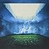 Nothing's Carved In Stone「MAZE(アナログ盤)」