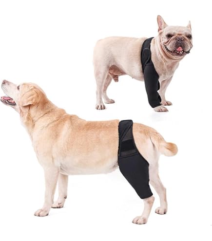 Amazon.co.jp: NexPon 犬用膝装具、犬用前十字靭帯膝装具後肢、後肢用